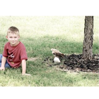 Cutest “babysitter” in the planet!
#babychicks🐣#backyardpeeps #backyardchickens #boymom